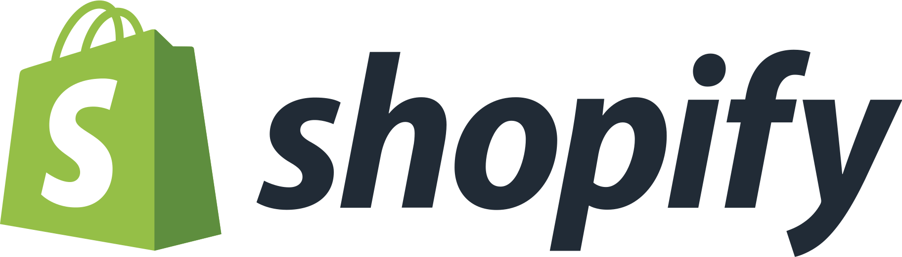Shopify Partner